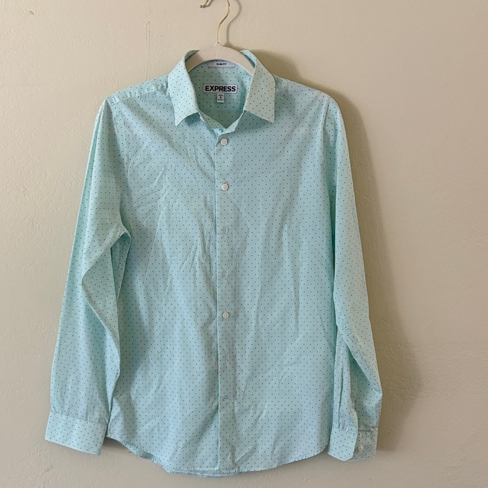 Express Men's Mint Blue Micro-Dot Dress Shirt